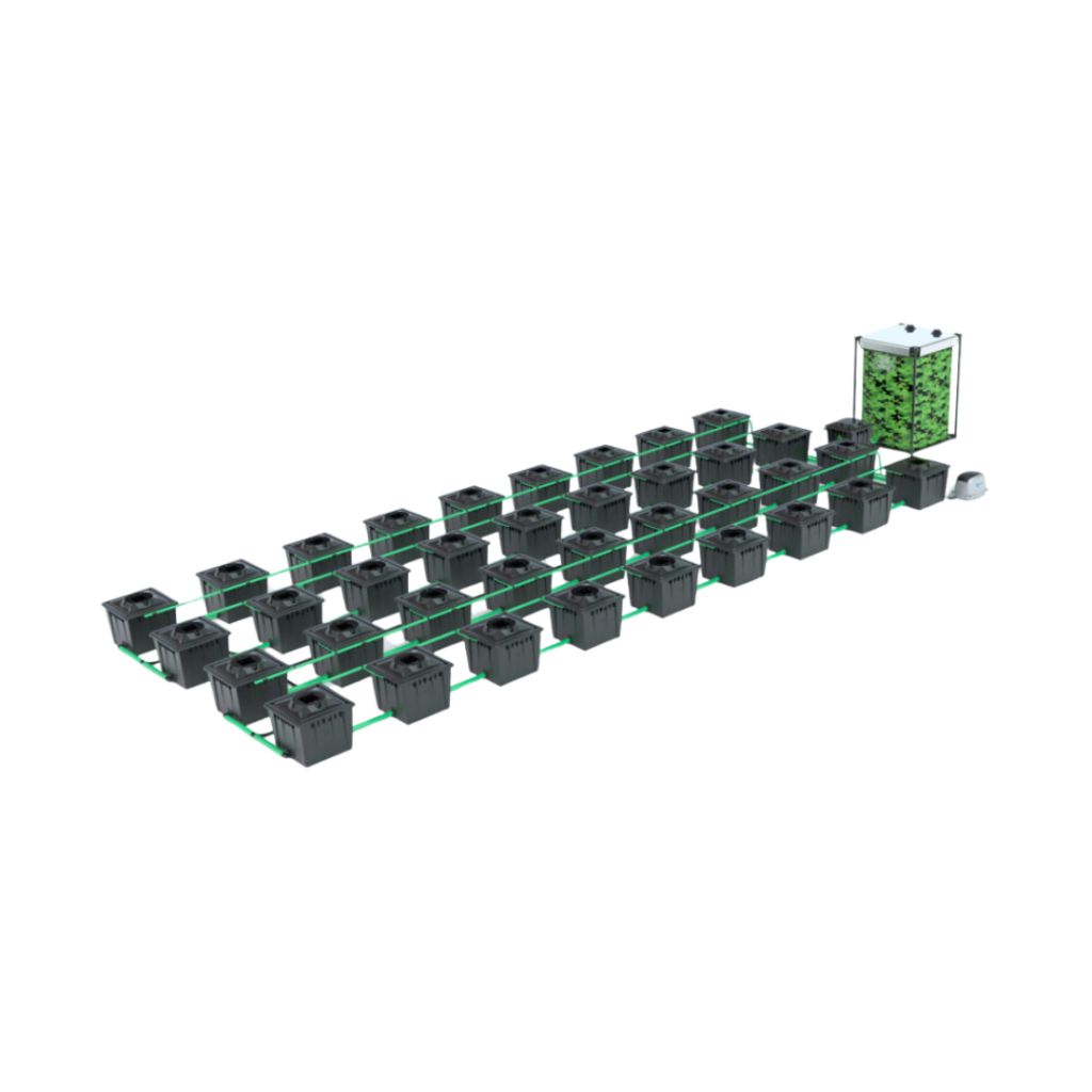 Alien - RDWC 36 Pot 36L