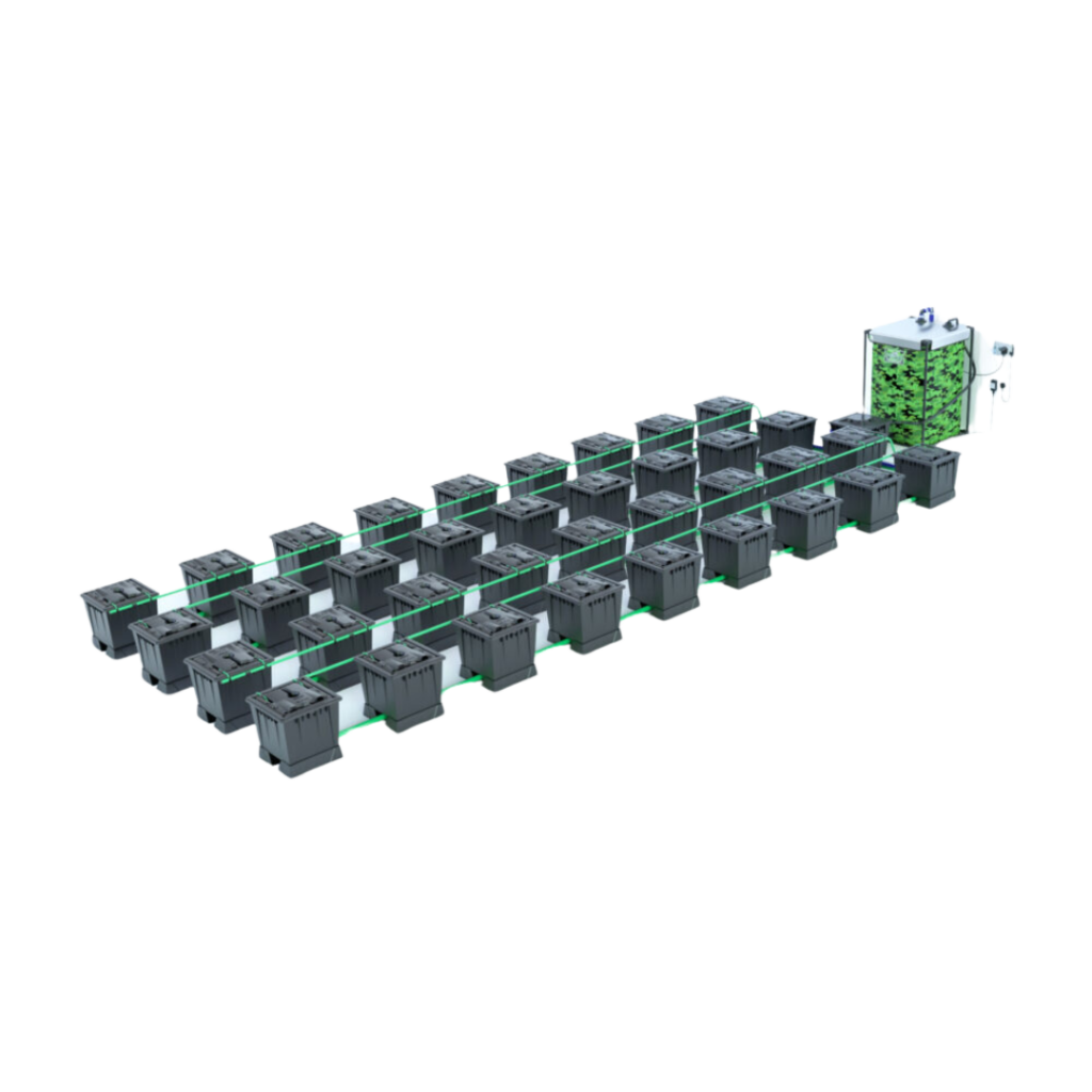 Alien - Rain 36 Pot 30L