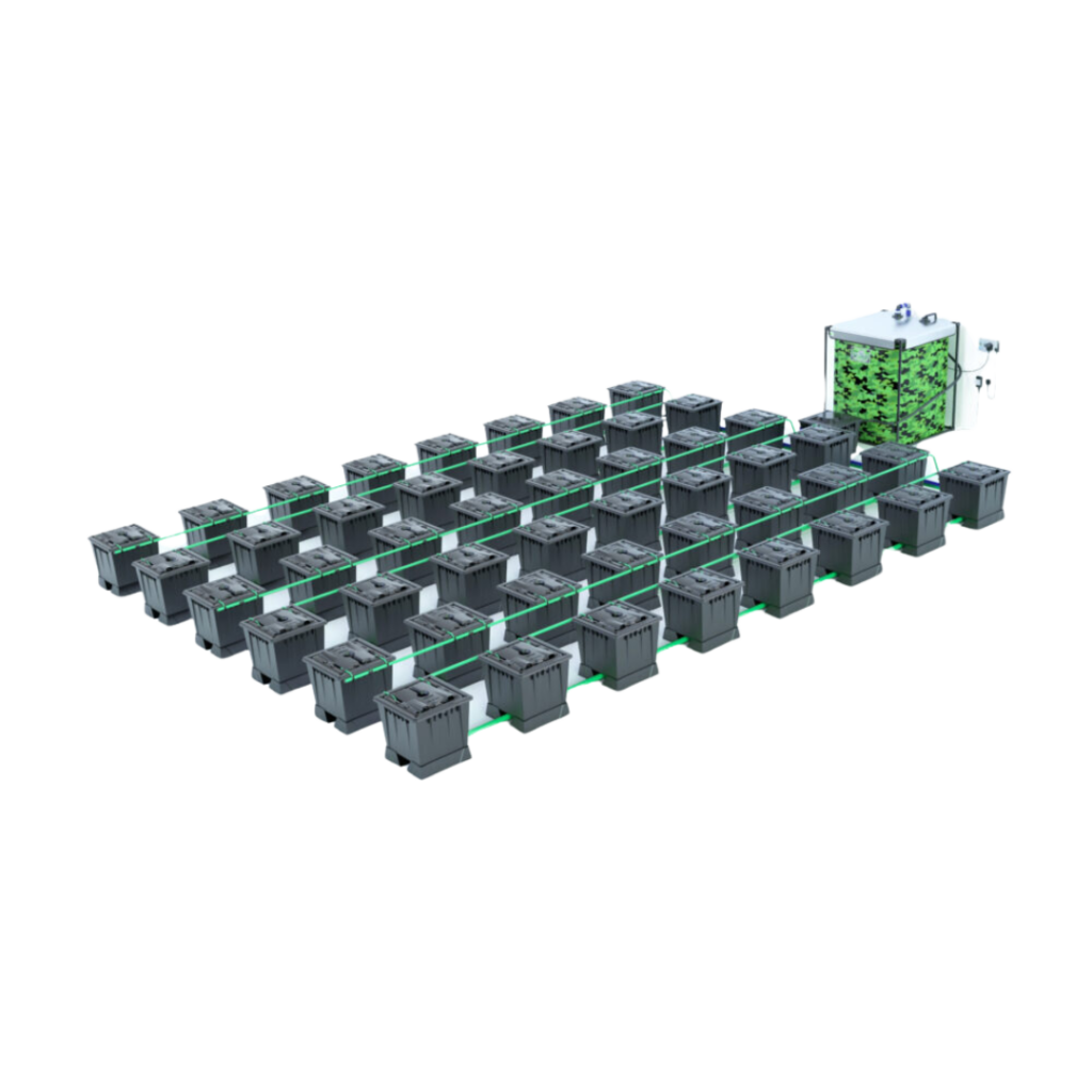 Alien - Rain 48 Pot 30L