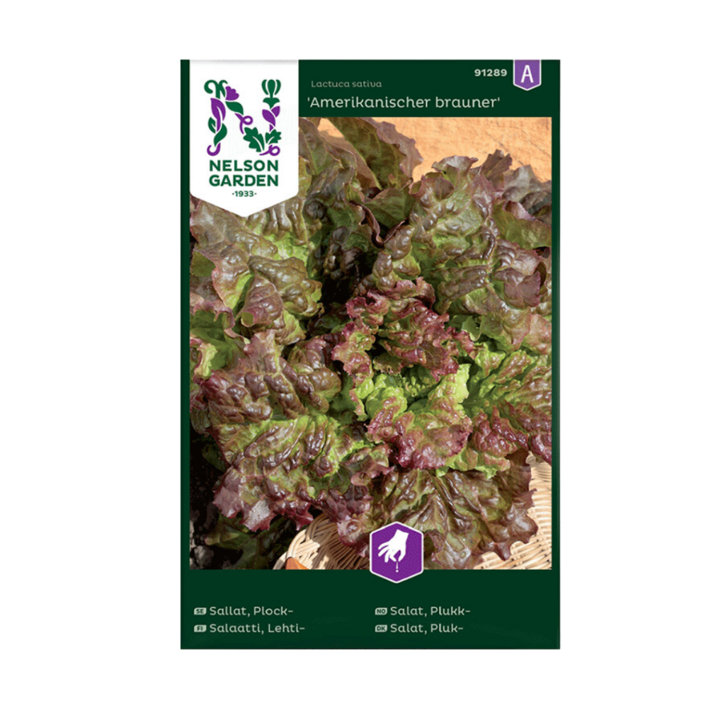 Amerikanischer brauner