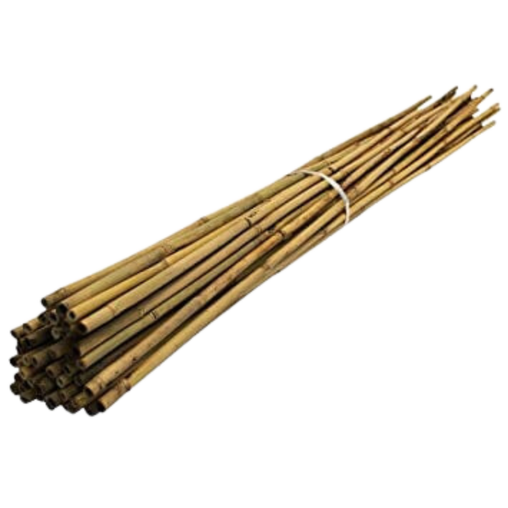 Bambus pinde - 25 stk - 120 cm