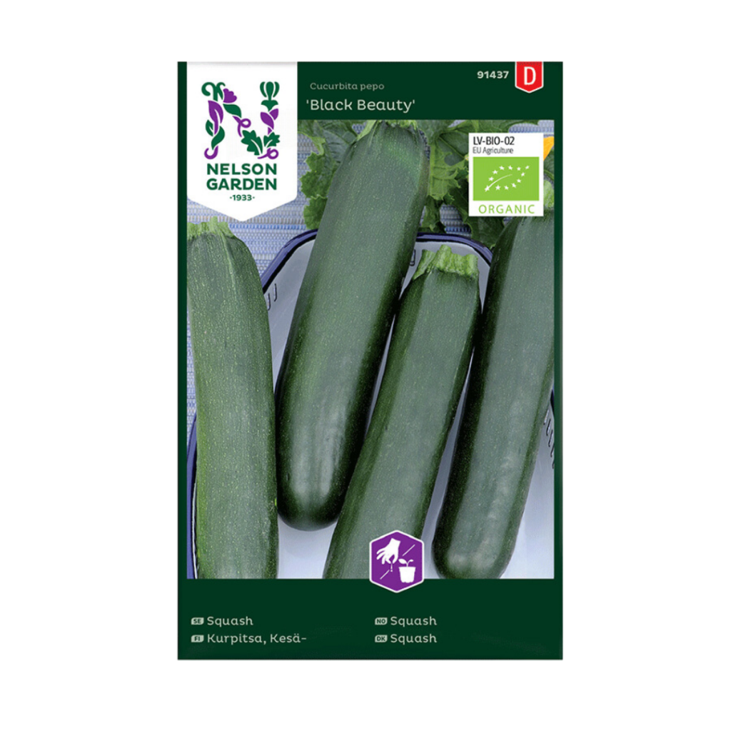 Black Beauty (Squash)