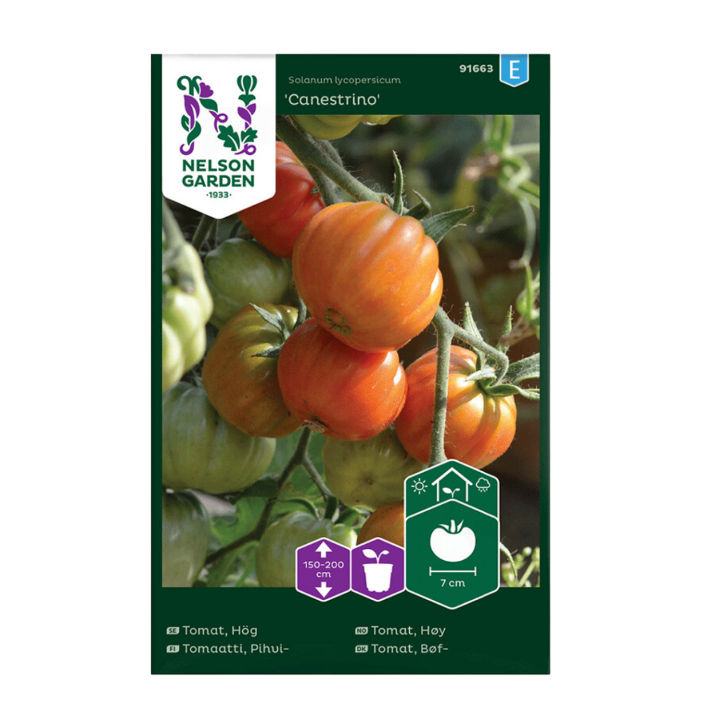 Bøftomat Canestrino