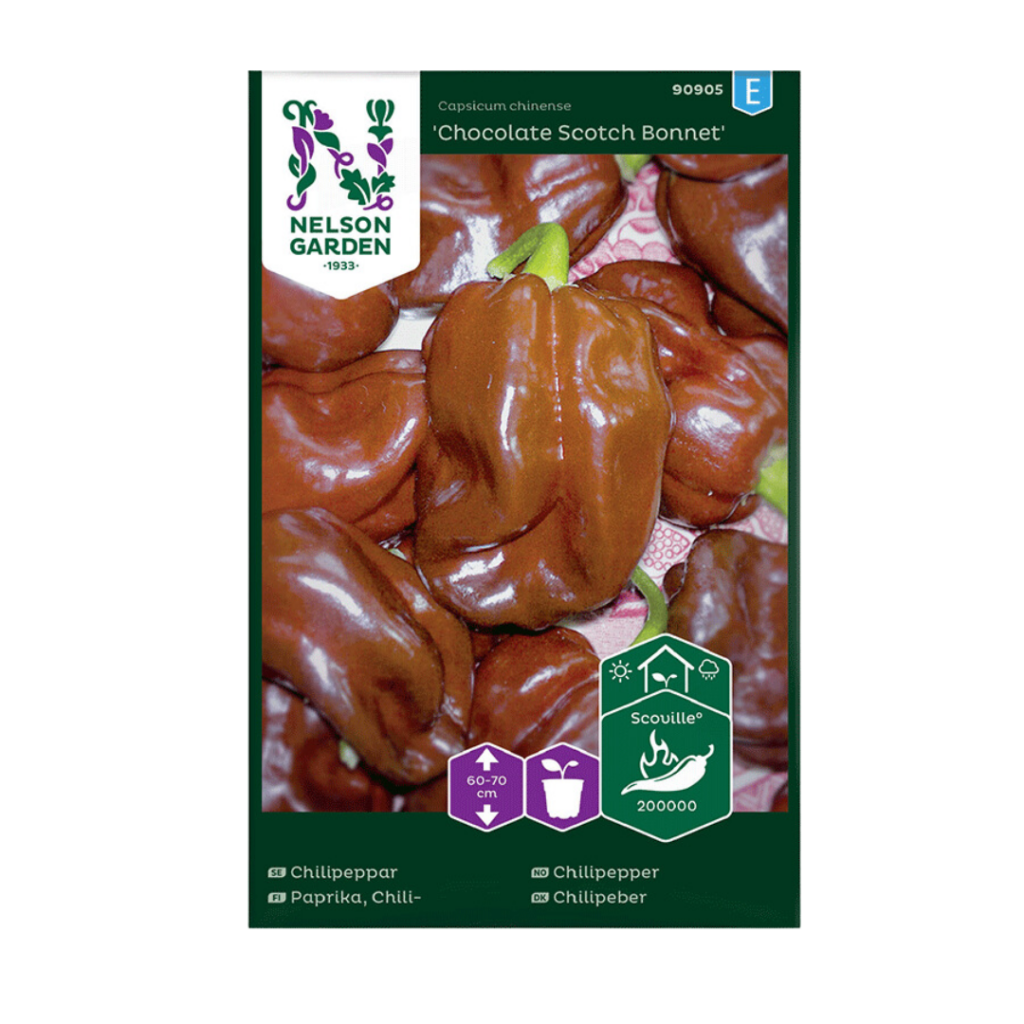 Chocolate Scotch Bonnet