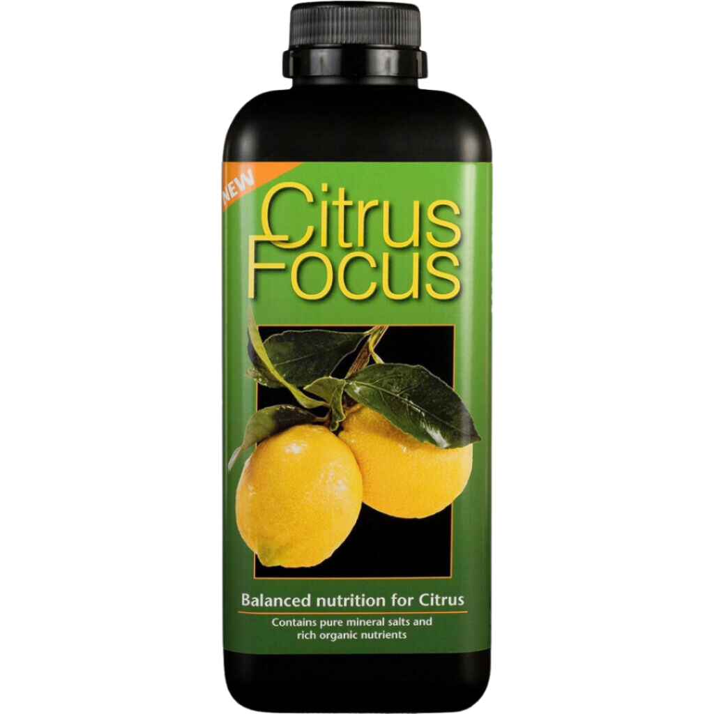 Citrus Focus 1L