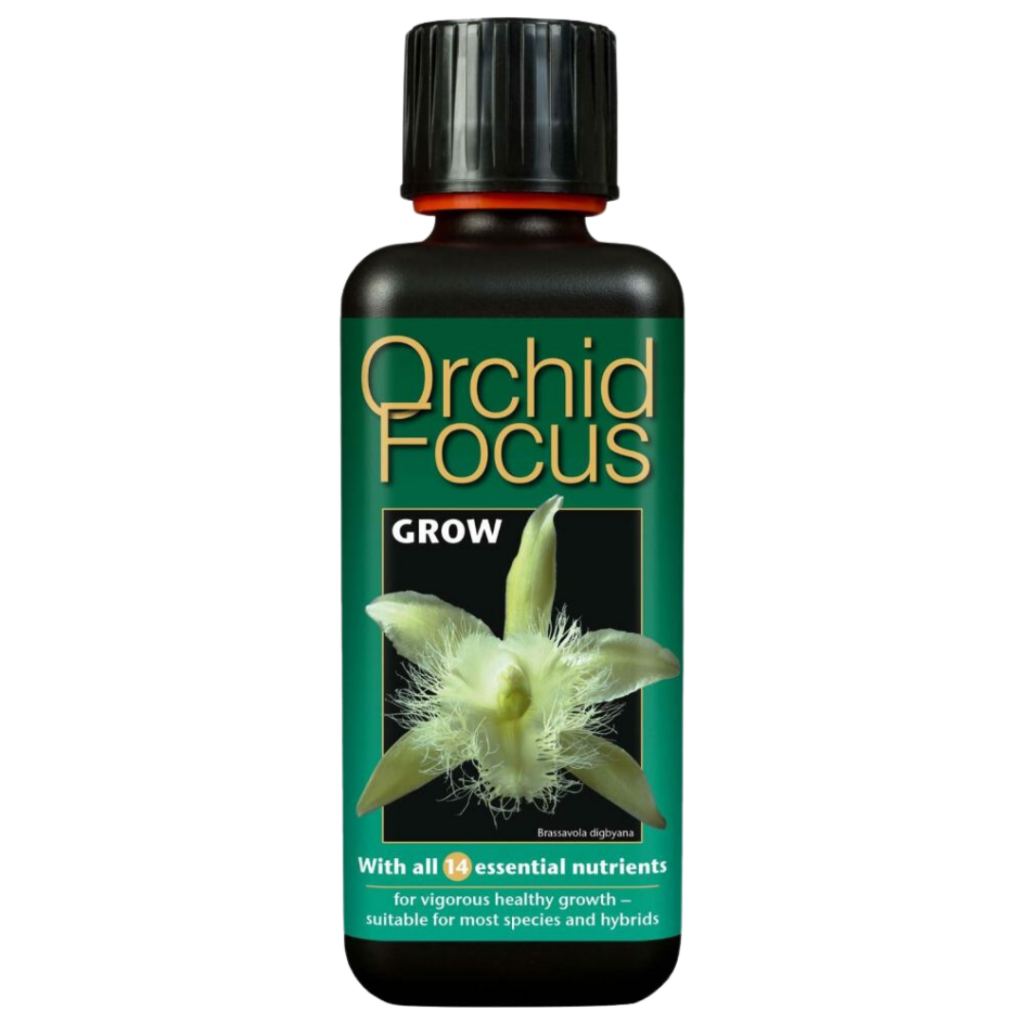 Growth Technology - Orkide Focus