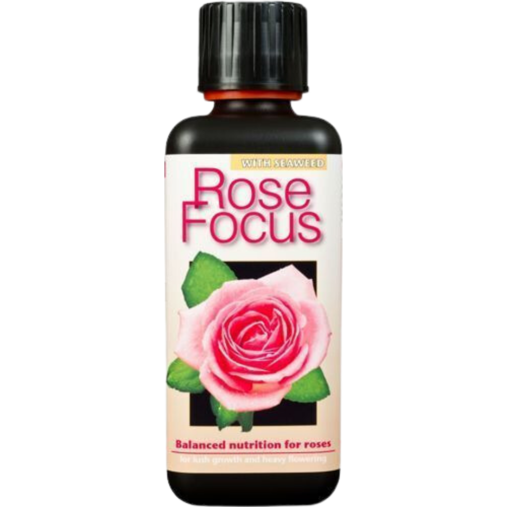 Growth Technology - Rose Focus
