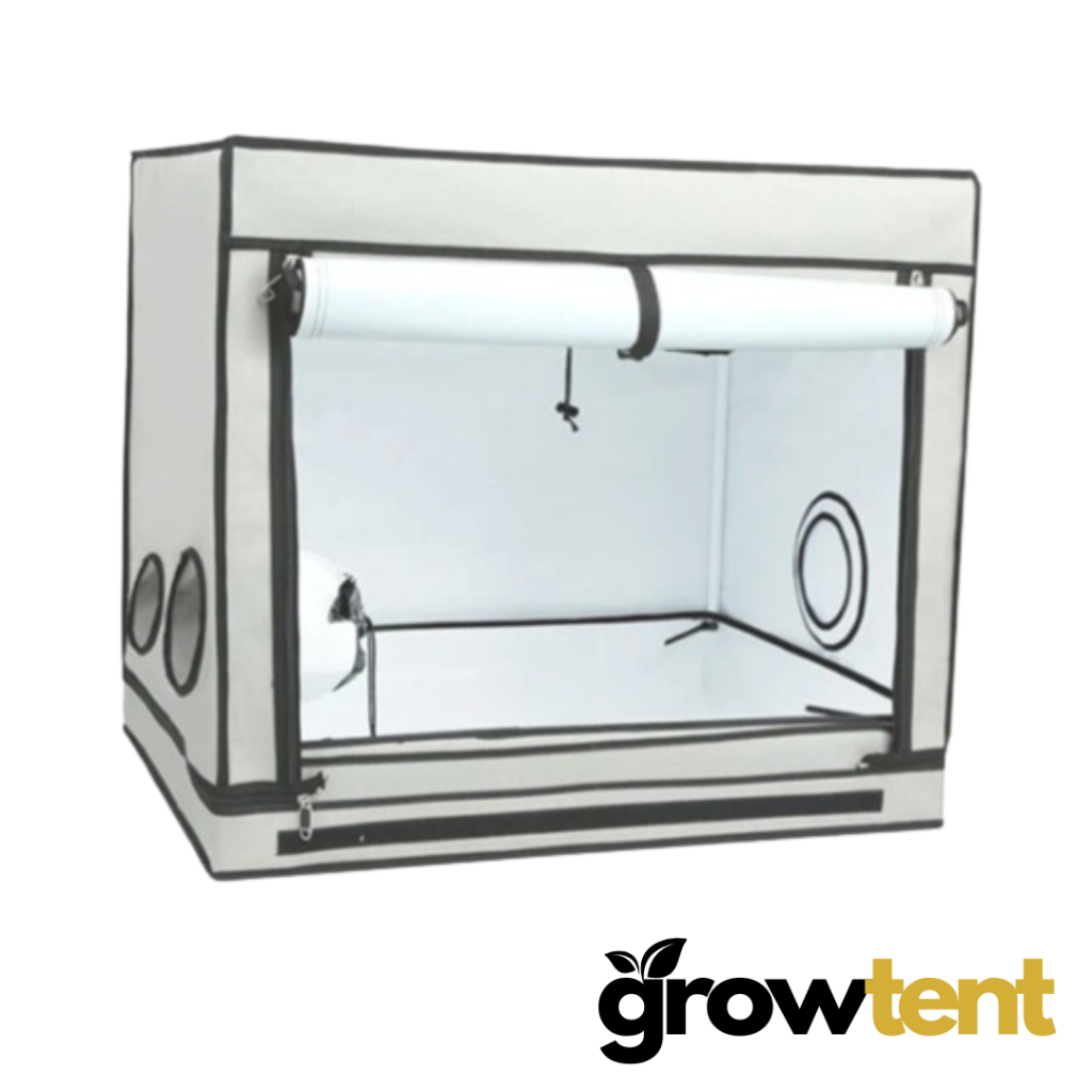 Growtent White -  Premium Grotelt (80x60x70 cm)
