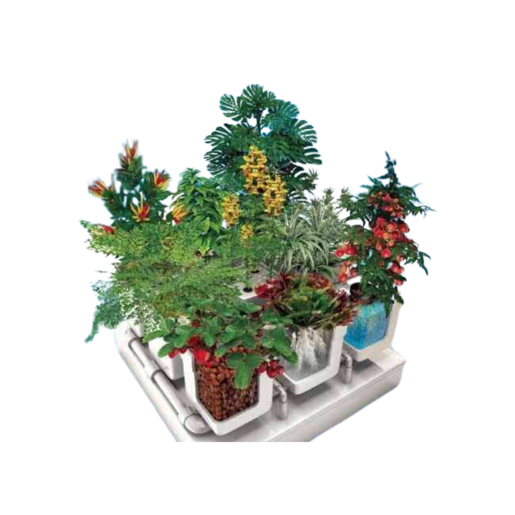 Hydroponics for Everybody - All About Home Horticulture