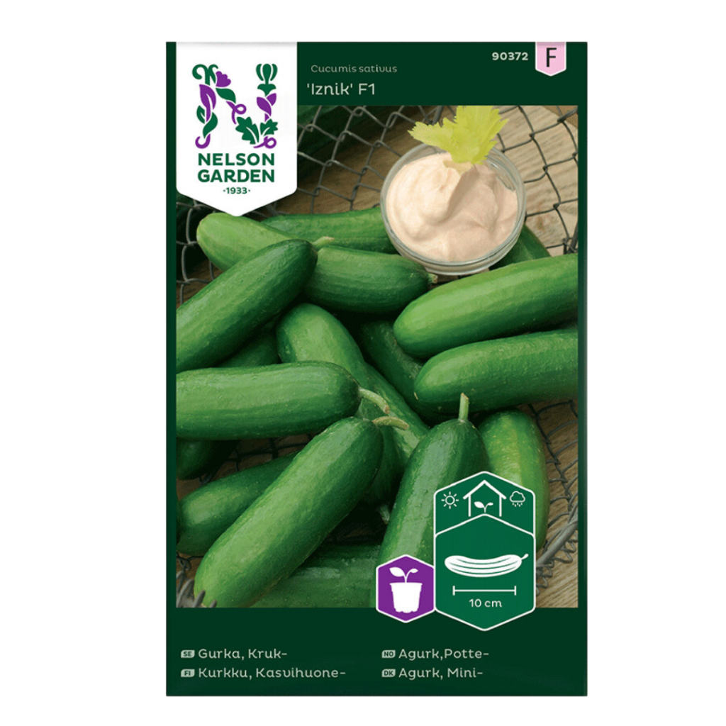 Iznik (Agurker)