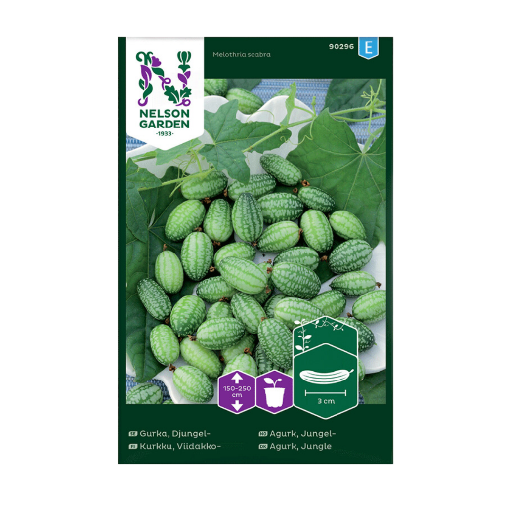 Jungelagurk (Agurker)