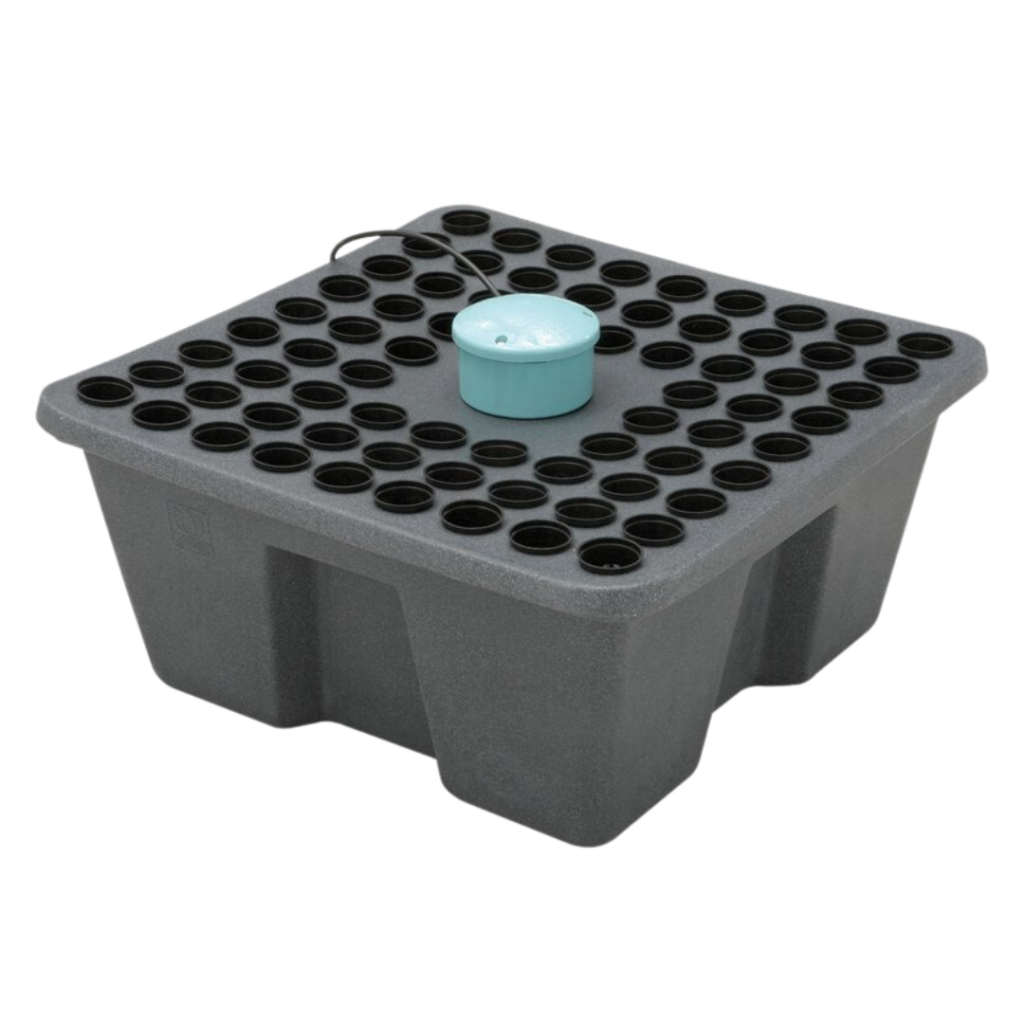 Rainforest 72 12 volt