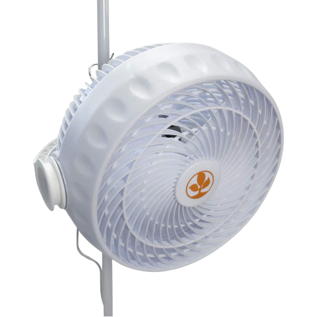 SECRET JARDIN - MONKEY FAN 30w