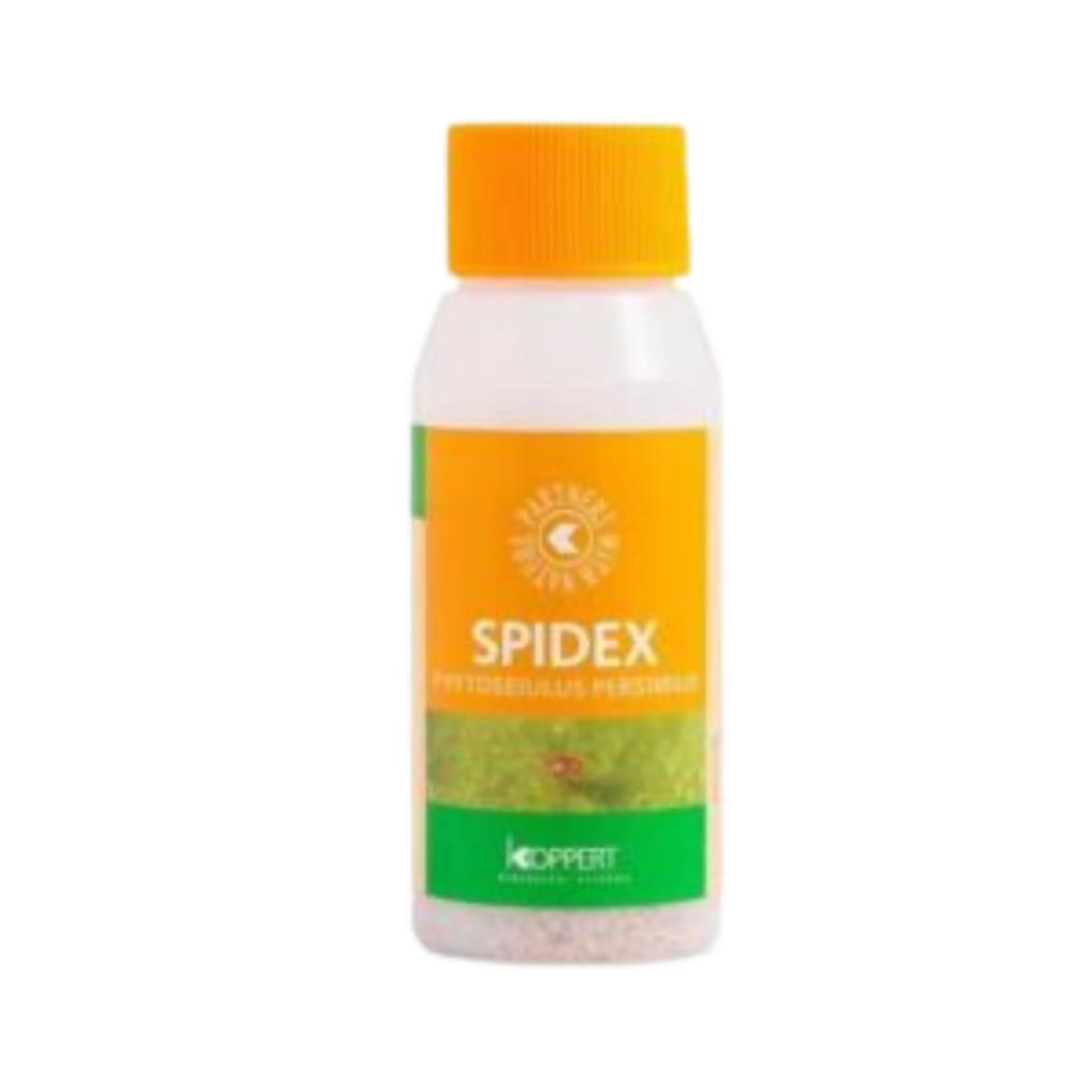 Spidex 2000 stk - mod spindemider