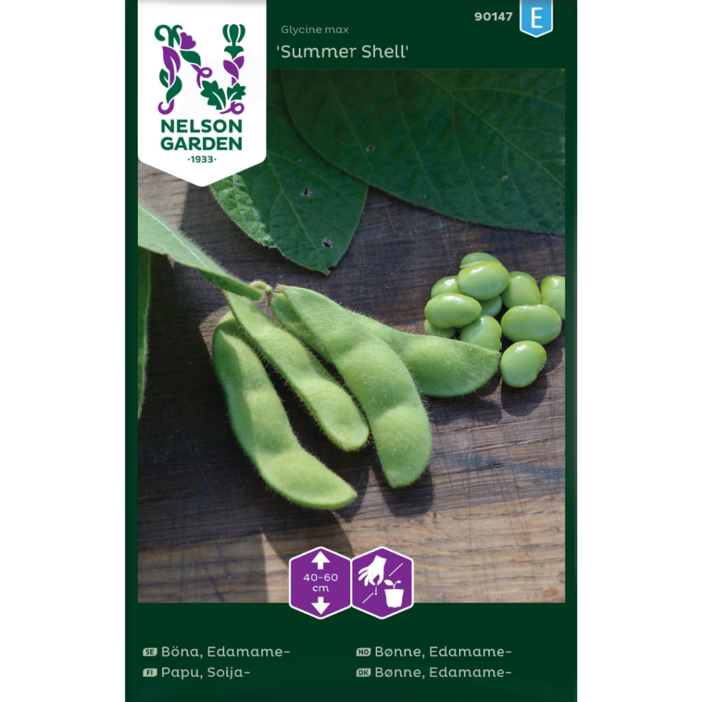 Summer Shell (Bønne)