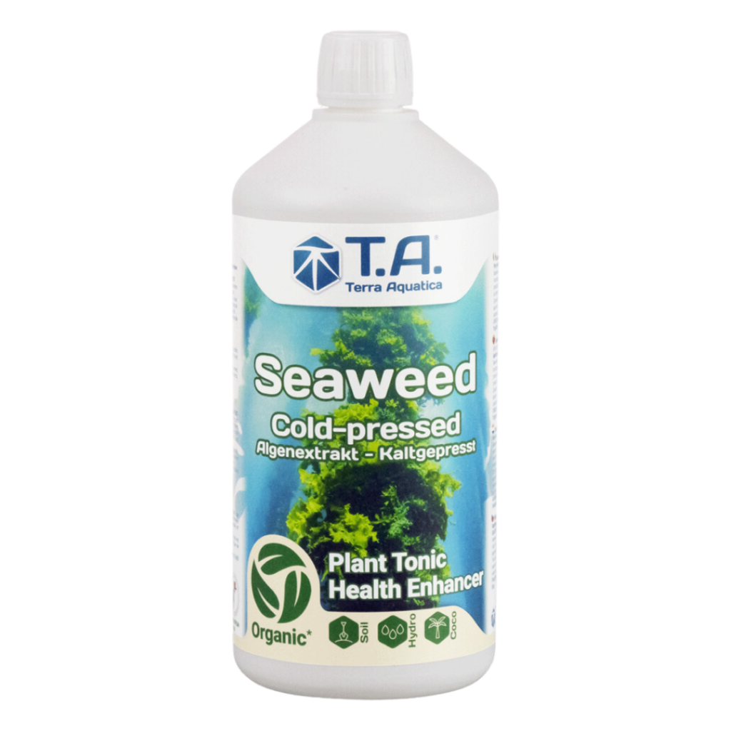 Terra Aquatica - Seaweed