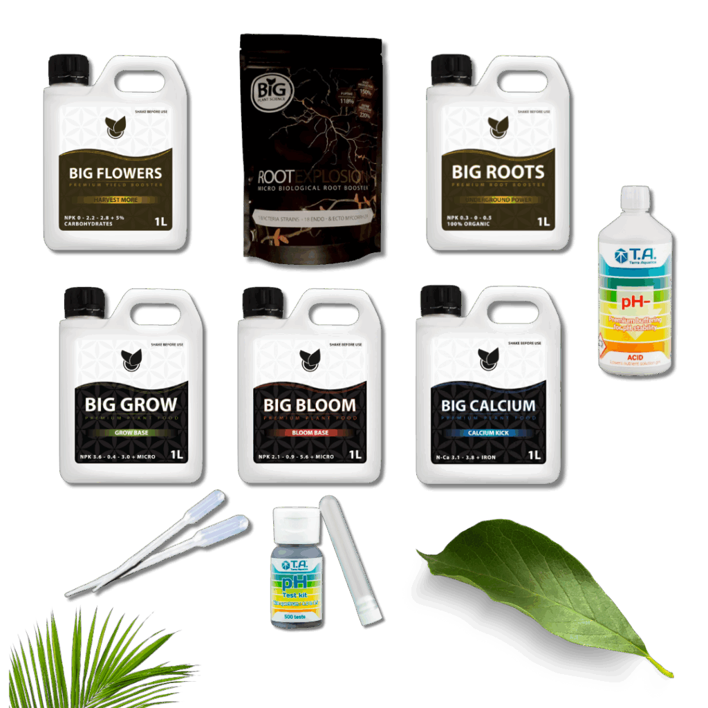 Komplet Basic Kit Startpakke – Big Plant Science