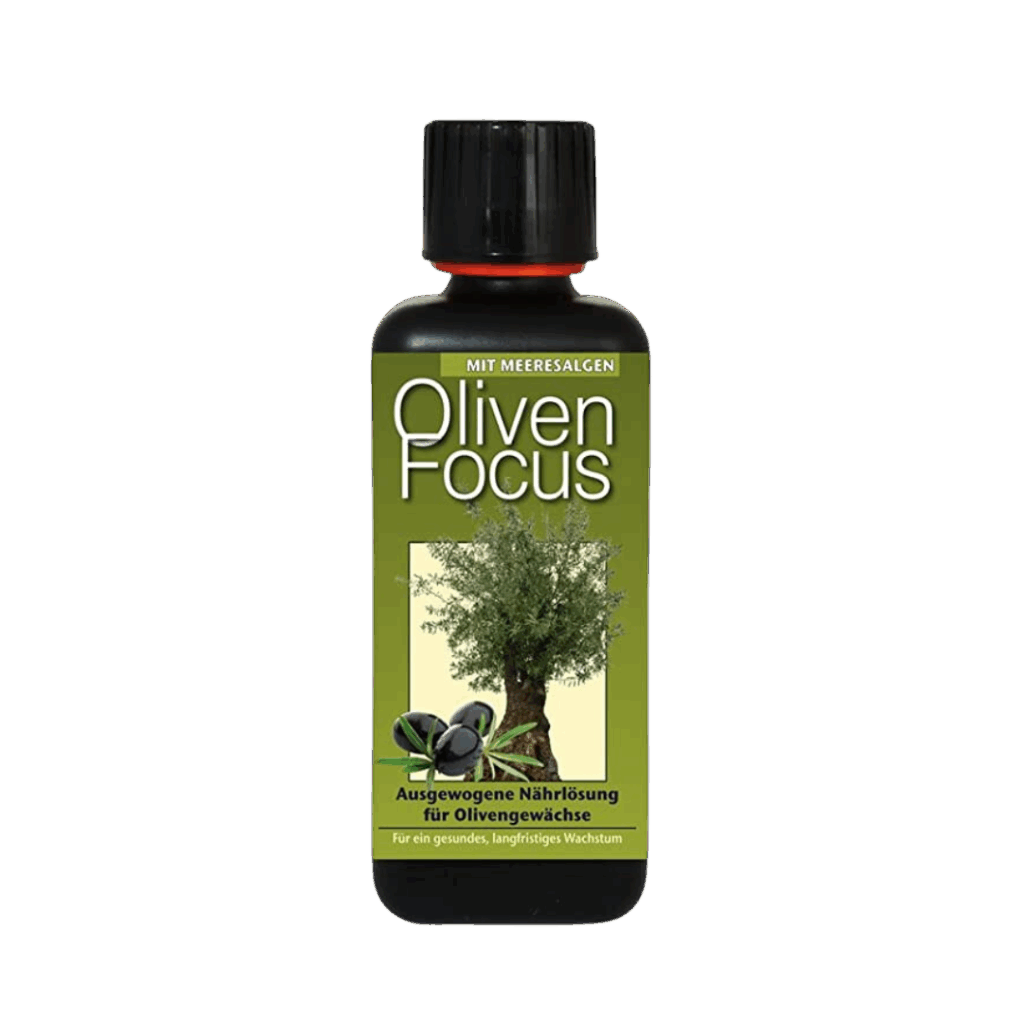 Oliven fokus 1L