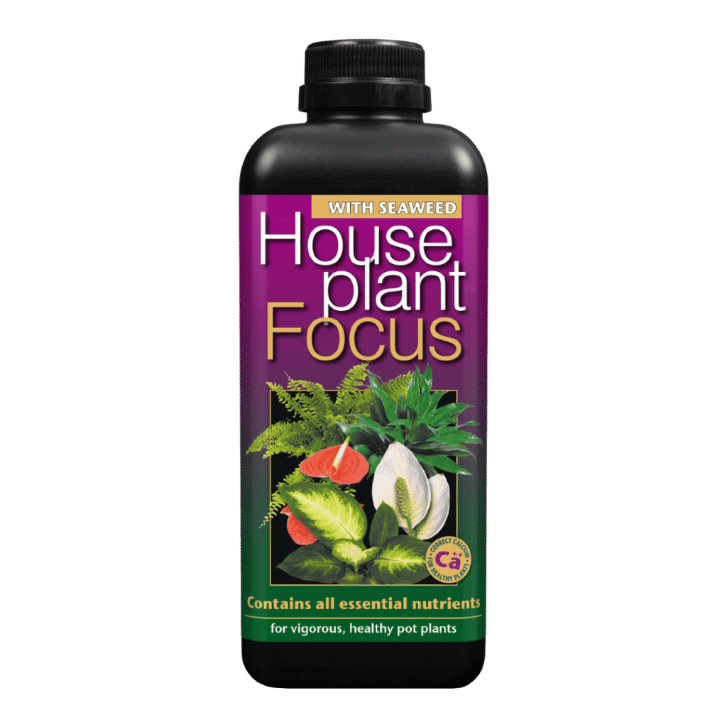 Houseplant Focus - 1L