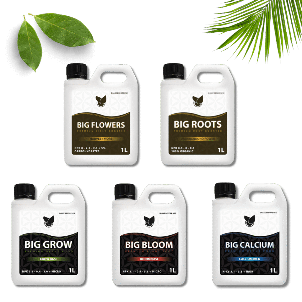 Komplet Basic Kit  - Big Plant Science