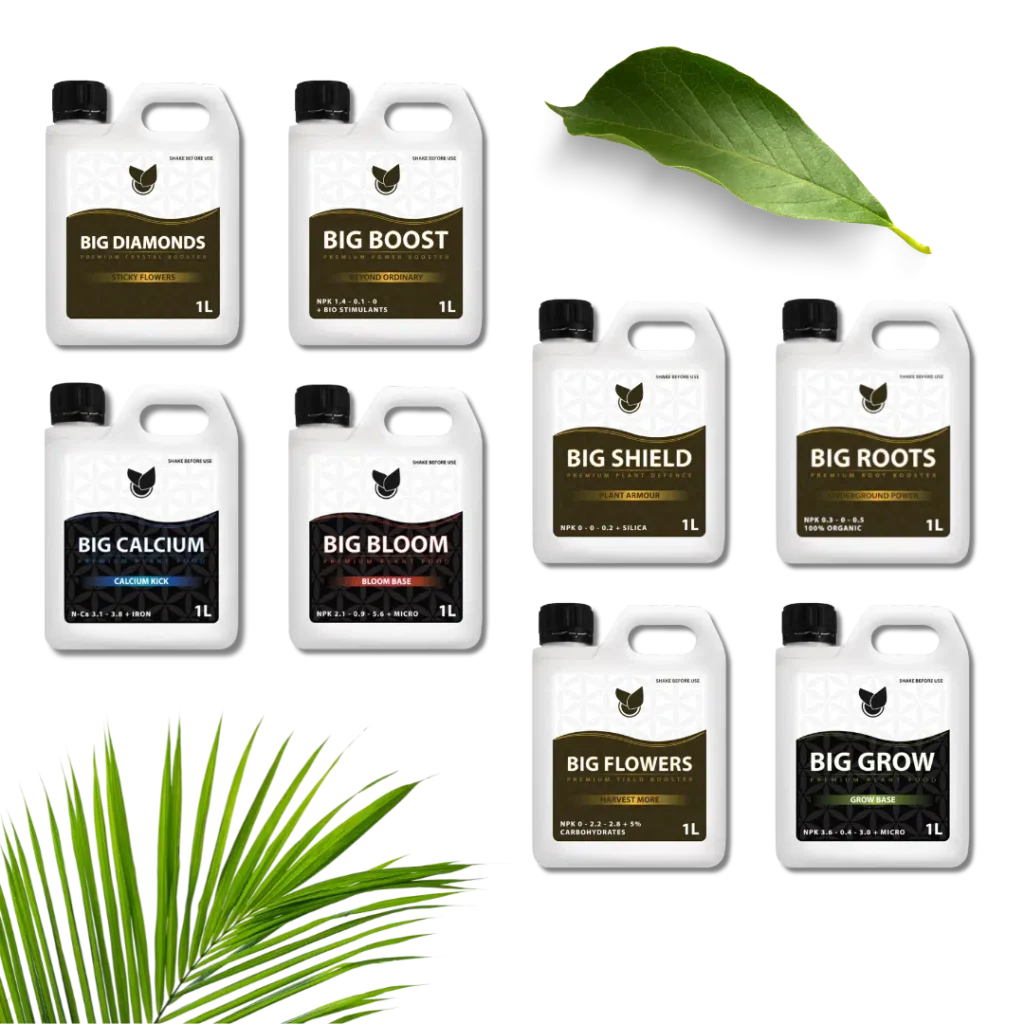 Komplet Premium Kit - Big Plant Science